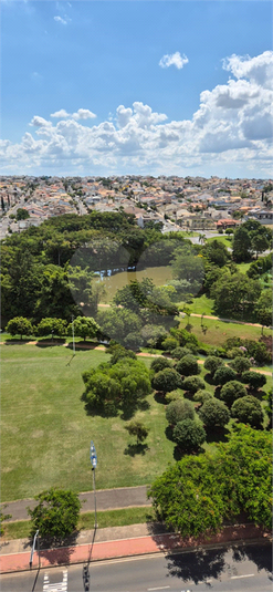 Foto REO1182564