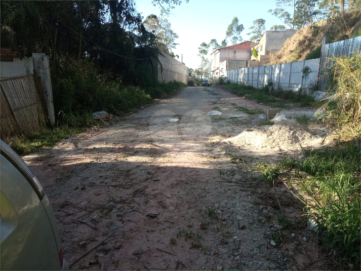 Foto REO1182570
