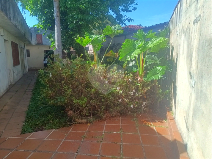 Foto REO1182578