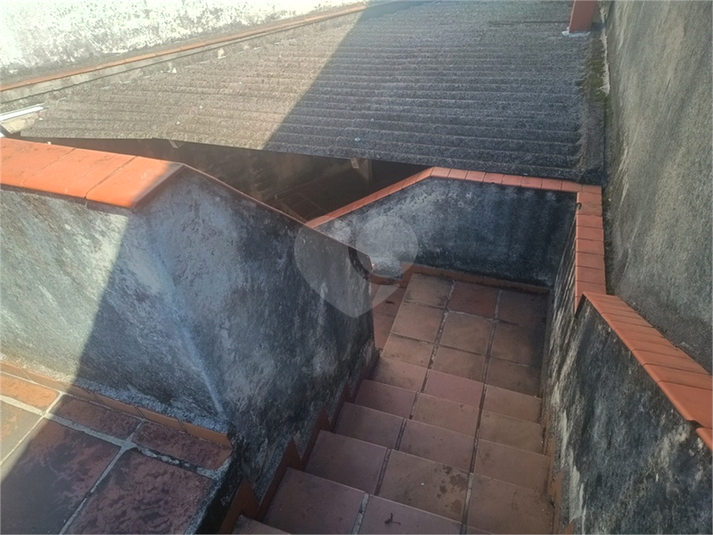 Foto REO1182578