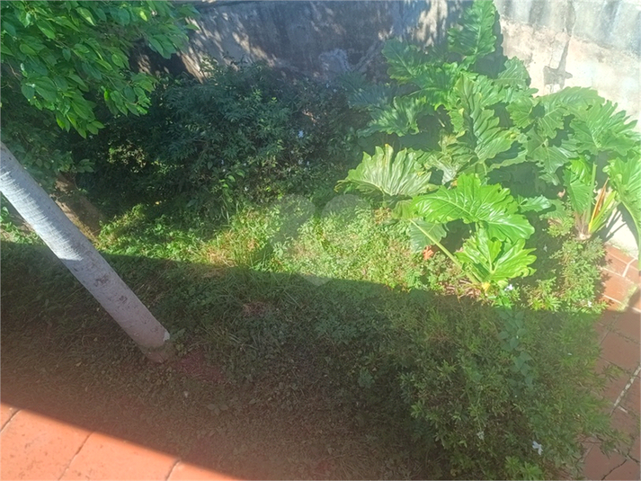 Foto REO1182578