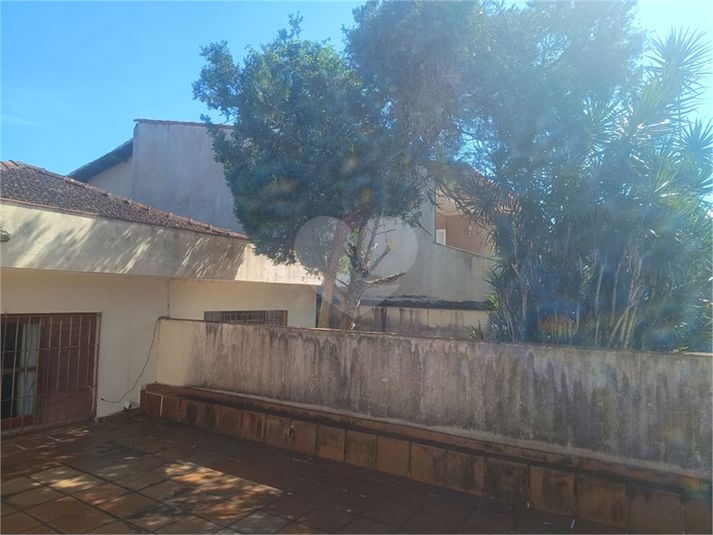 Foto REO1182578