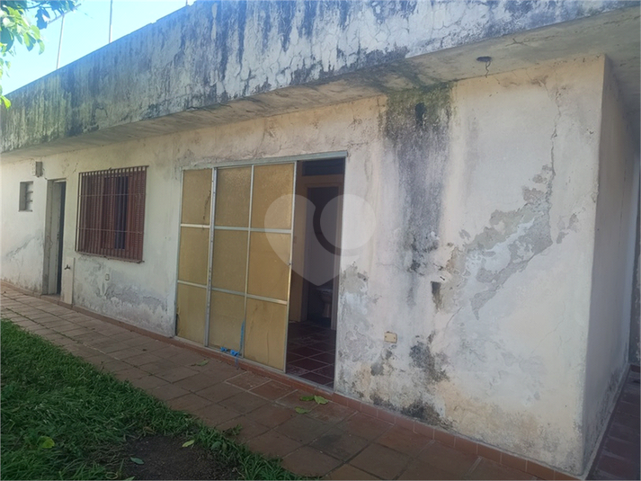 Foto REO1182578