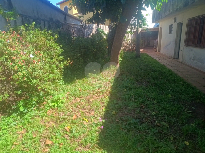 Foto REO1182578