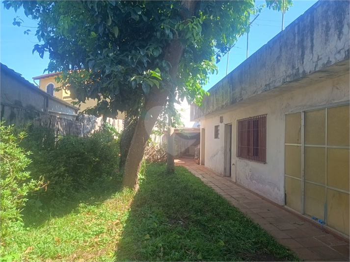 Foto REO1182578