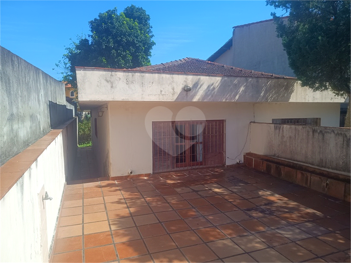 Foto REO1182578