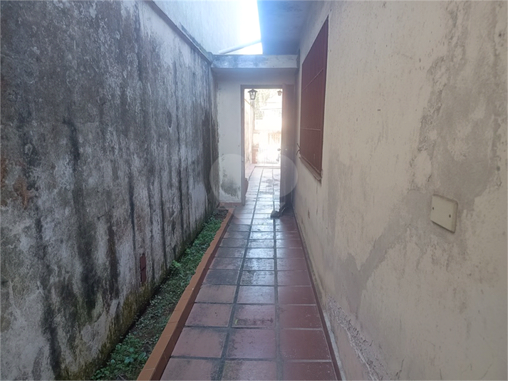 Foto REO1182578