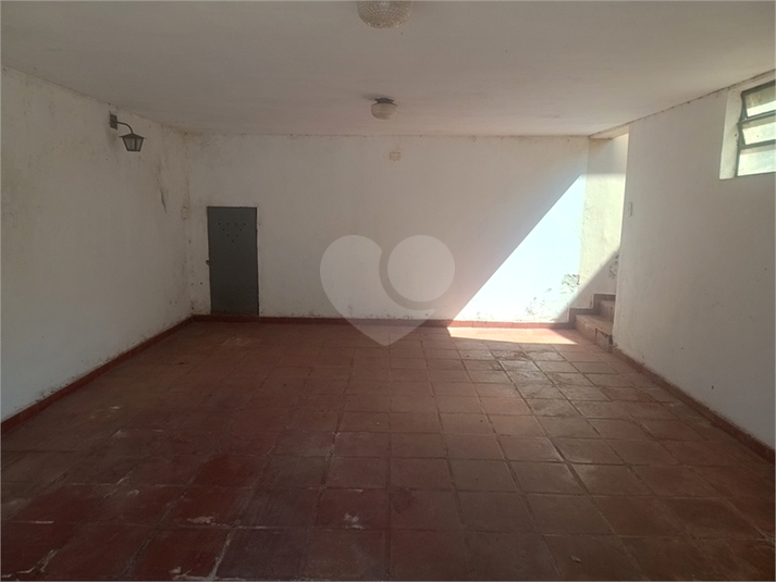 Foto REO1182578