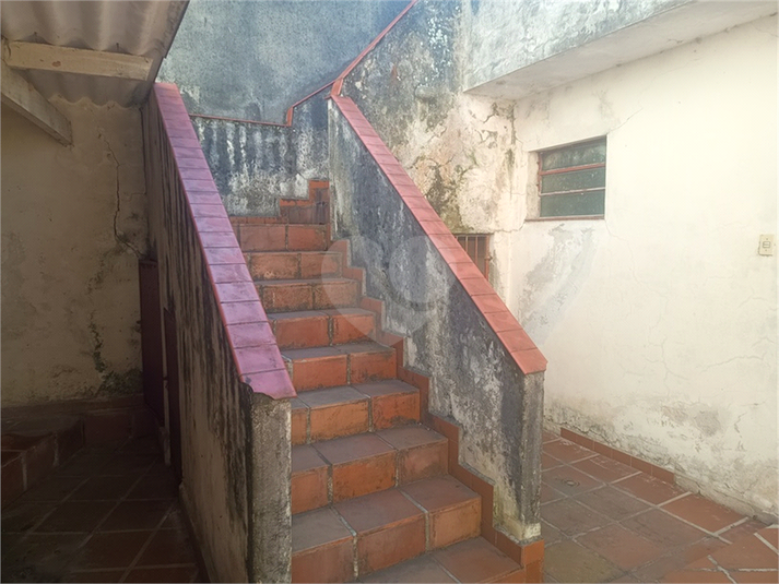 Foto REO1182578