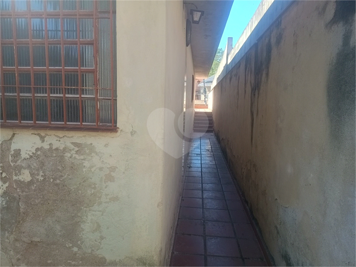 Foto REO1182578