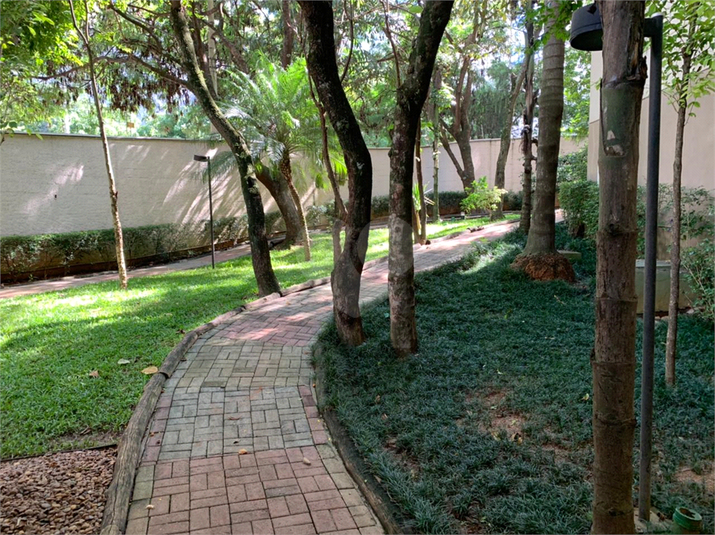 Foto REO1182590