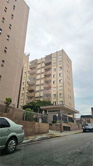 Foto REO1182602