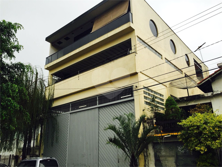 Foto REO1182604