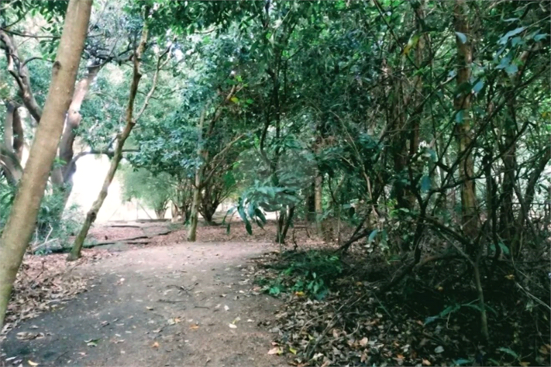 Foto REO1182610