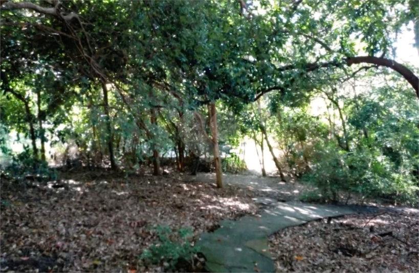 Foto REO1182610