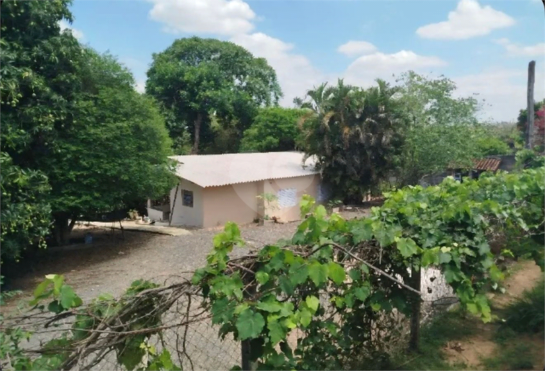 Foto REO1182610