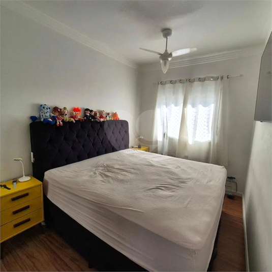 Foto REO1182611