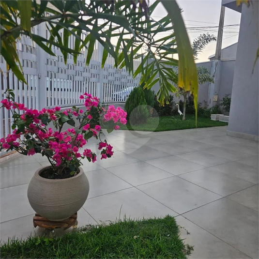 Foto REO1182617
