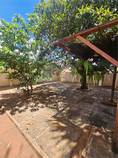 Foto REO1182641