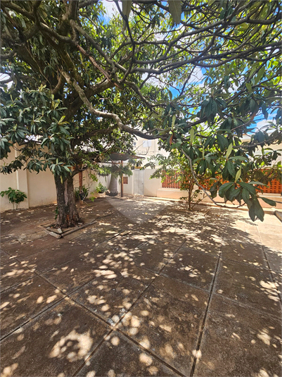 Foto REO1182641