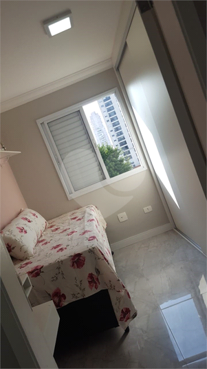 Foto REO1182702