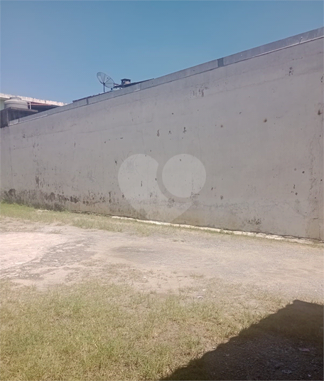 Foto REO1182703