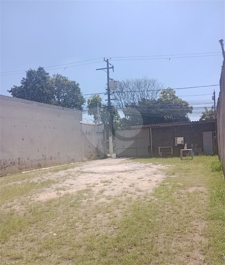 Foto REO1182703