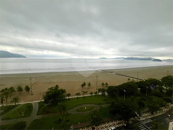 Foto REO1182712
