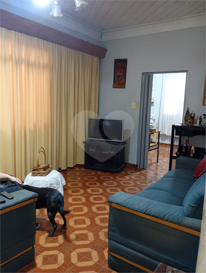 Foto REO1182734
