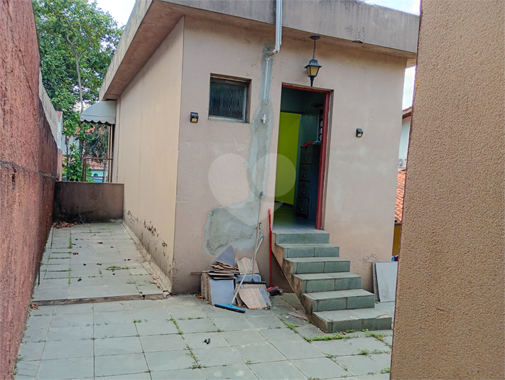 Foto REO1182734