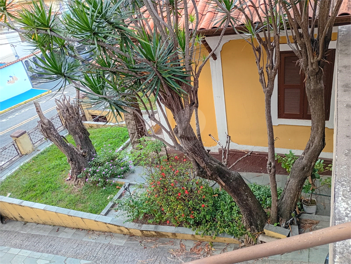 Foto REO1182734