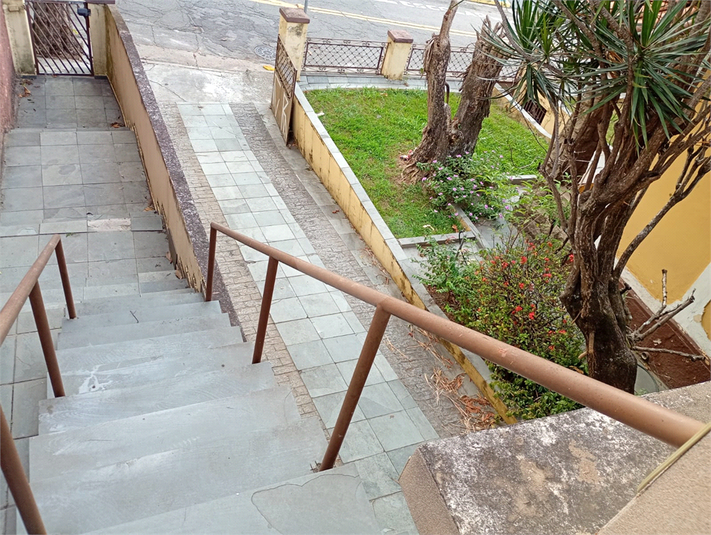 Foto REO1182734