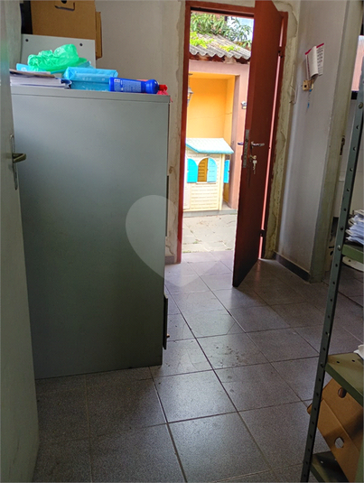 Foto REO1182734