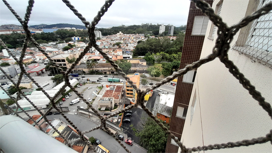 Foto REO1182788