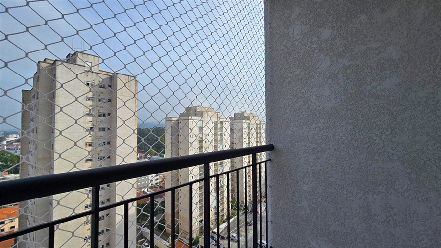 Foto REO1182790