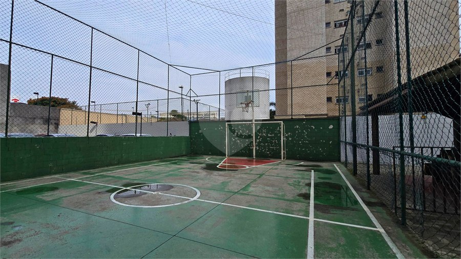 Foto REO1182790