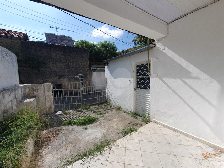 Foto REO1182822