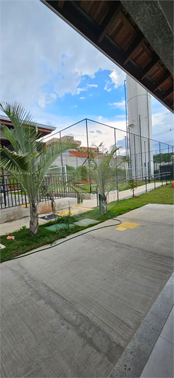 Foto REO1182850