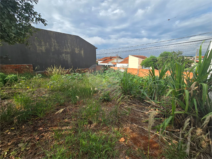 Foto REO1182860