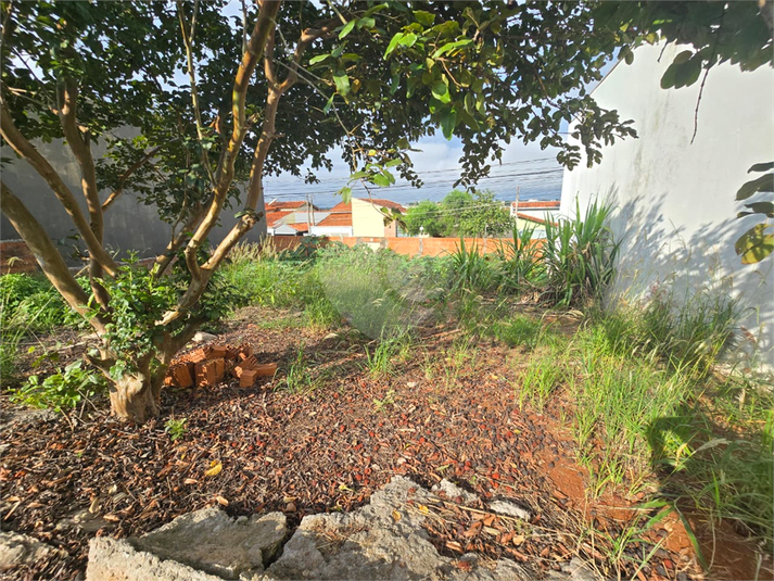 Foto REO1182860