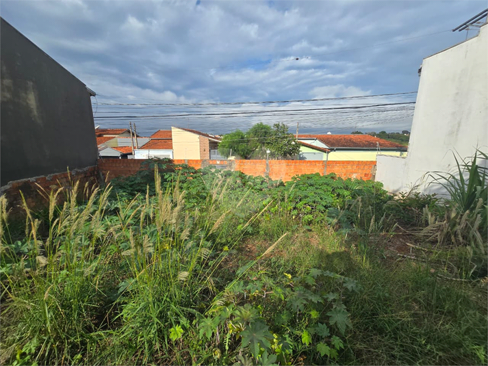 Foto REO1182860