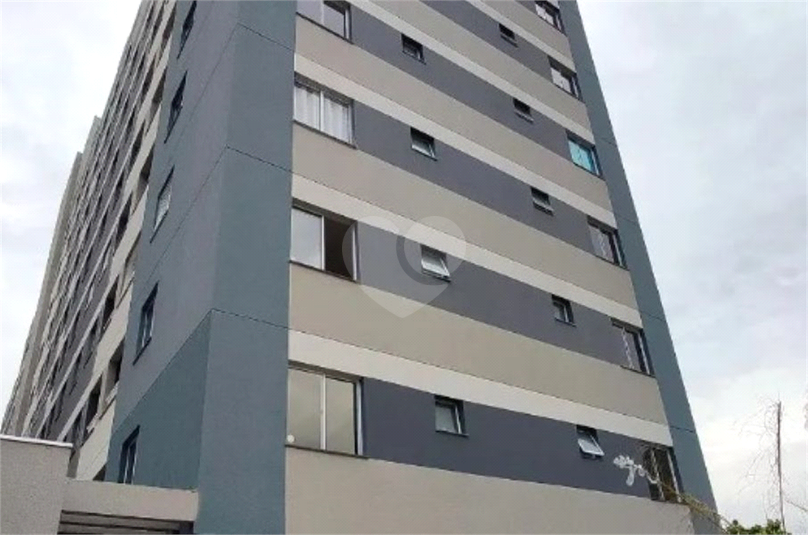Foto REO1182874