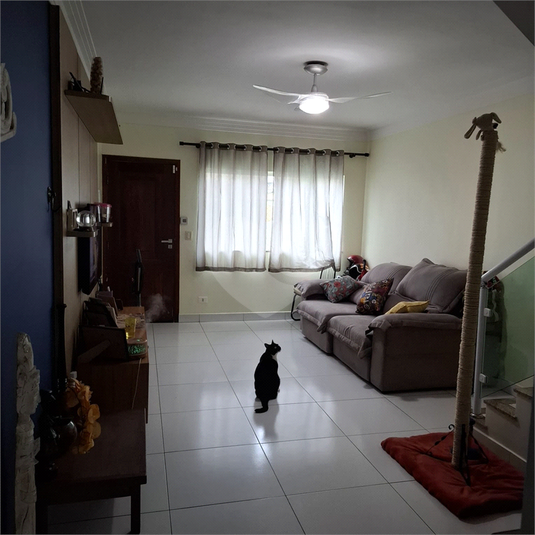 Foto REO1182880