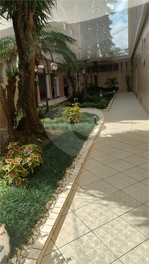 Foto REO1182882