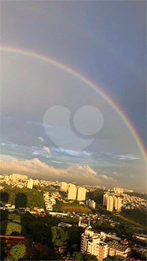 Foto REO1182884
