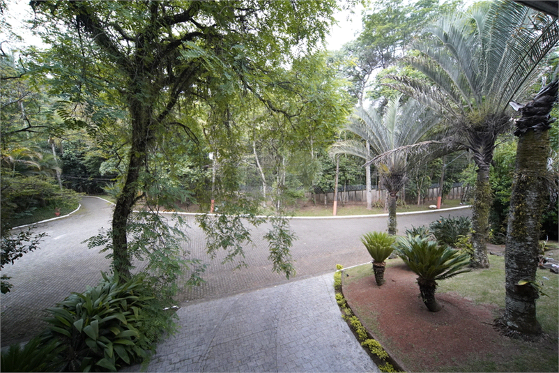 Foto REO1182913