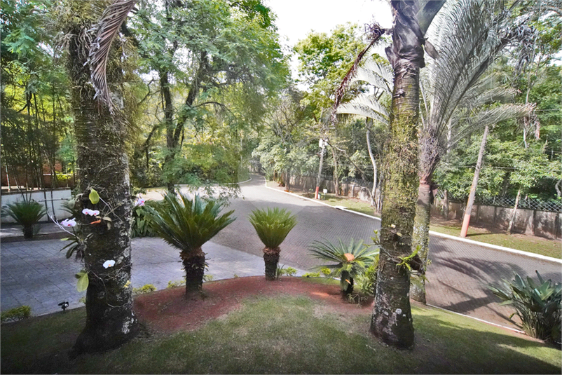Foto REO1182913