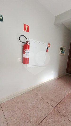 Foto REO1182963