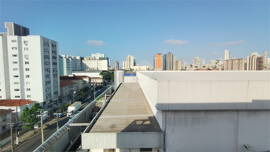 Foto REO1182963