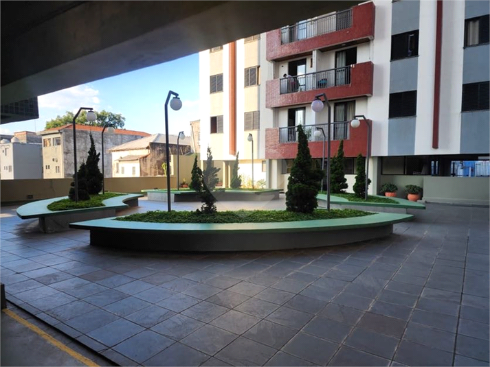 Foto REO1182966